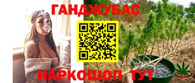 винт Гатчина