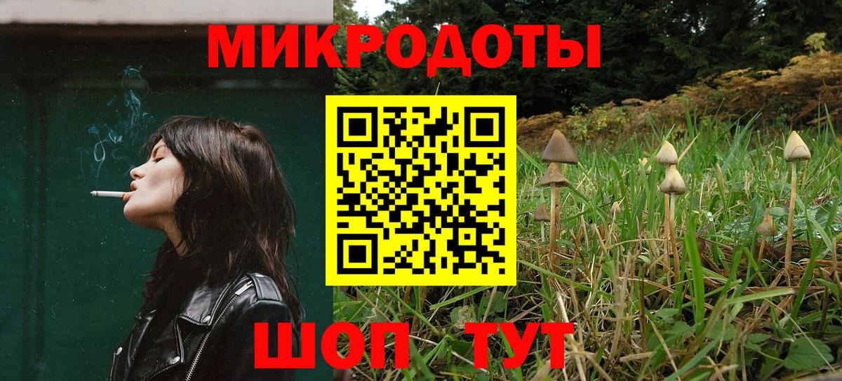 Галлюциногенные грибы Psilocybine cubensis Аксай
